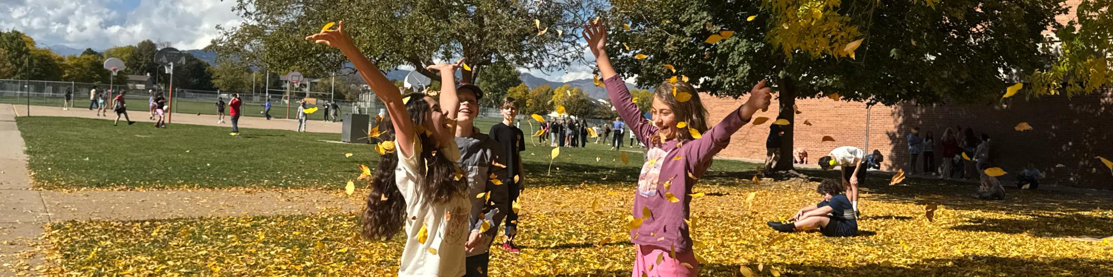 Boltz Autumn Leaves at Recess