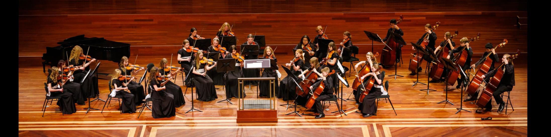Chamber Orchestra on stage at the Festival of Gold in Nashville